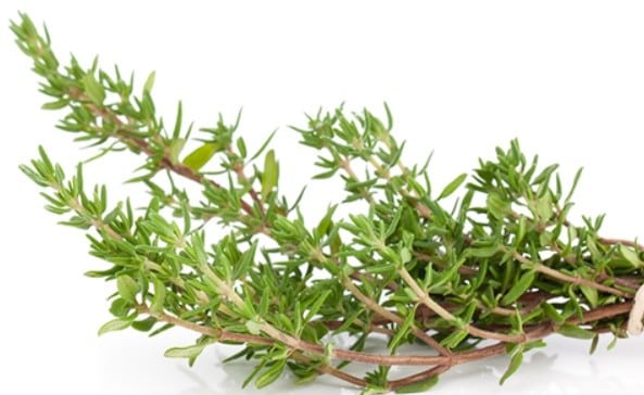 Thyme