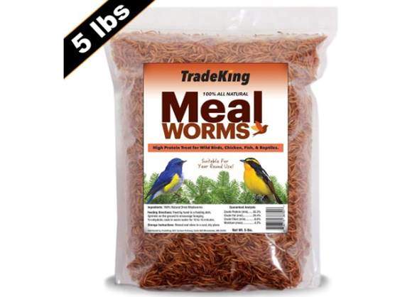 TradeKing 5 lb Dried Mealworms - High Protein Treat