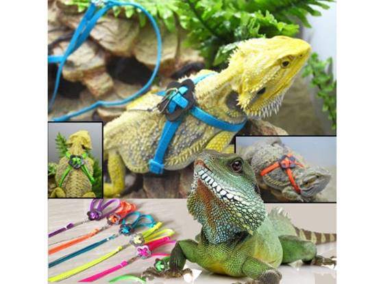 Tzou Adjustable Reptile Lizard Harness Leash