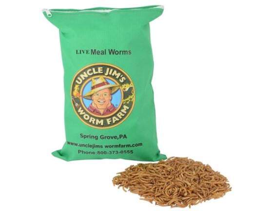 Uncle Jim's Worm Farm Live Mealworms (2000 Count