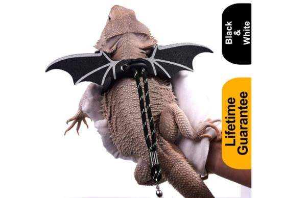 WATFOON Adjustable Bearded Dragon Lizard Comfort Leather Leash Harness with Cool Wings