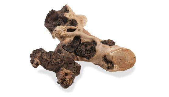 Zoo Med Mopani Driftwood