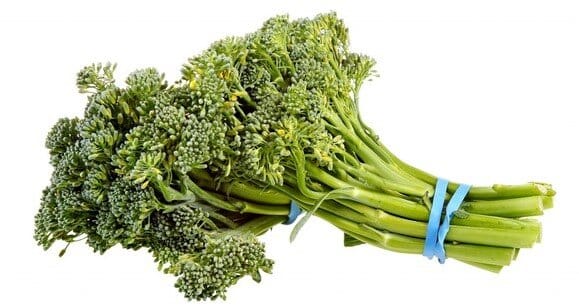 Can rabbits eat broccolini