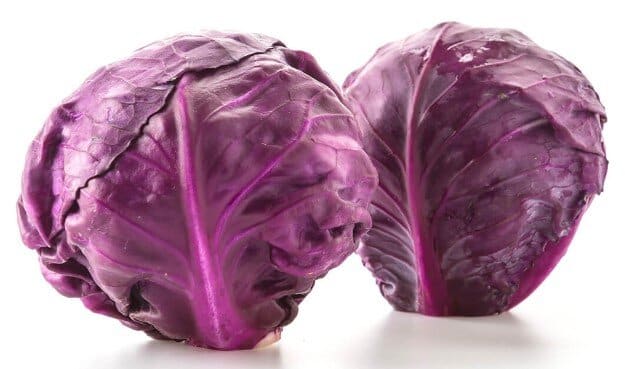 Can rabbits eat red or purple cabbage