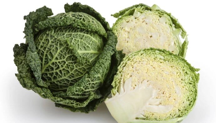 Can rabbits savoy cabbage