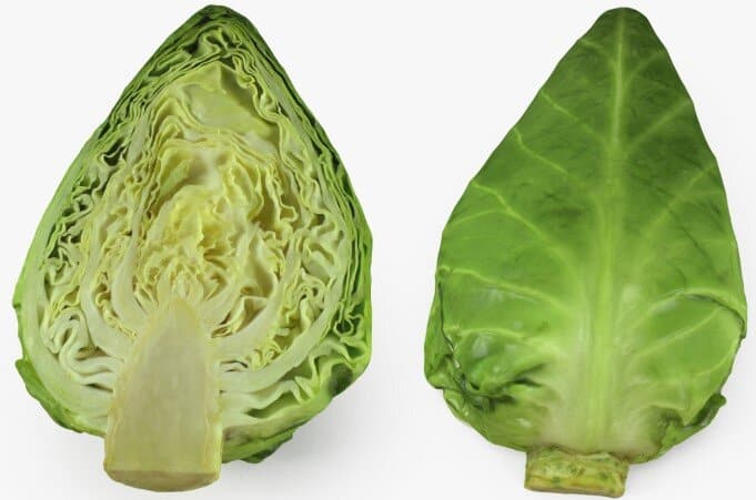 Can rabbits eat sweetheart cabbage