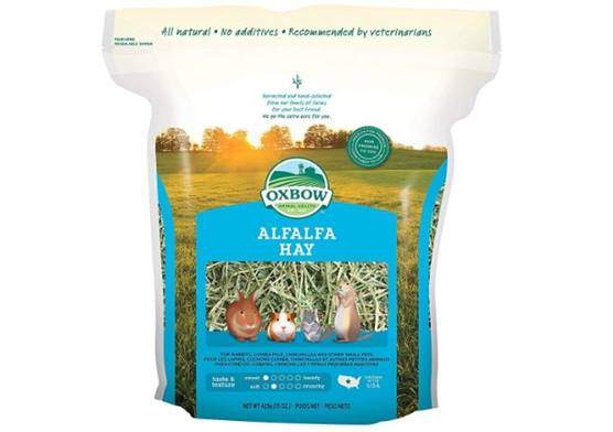 Oxbow alfalfa hay for rabbits