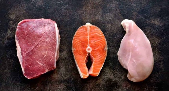 Can rabbits eat meat, chicken or fish