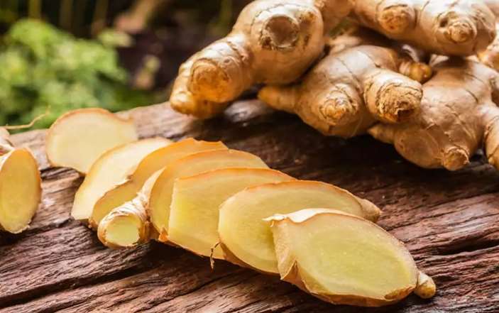 Can Cats Eat Ginger - Safety + Benefits | Pet Care Advisors