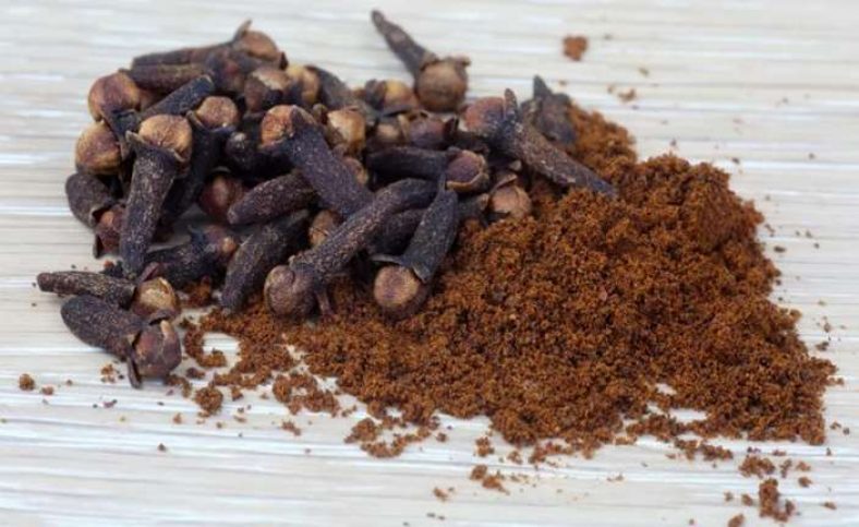 Can Dogs Eat Cloves? Are They Harmful or Good? | Pet Care Advisors