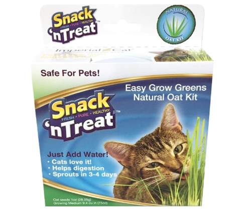 Imperial Cat Easy Grow Greens Natural Oat Grass Kit