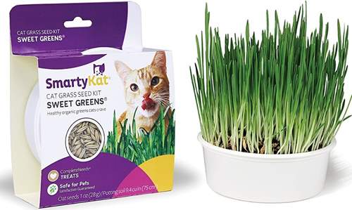 SmartyKat Sweet Greens Cat Grass Seed Kit