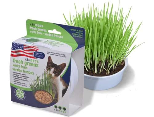 Van Ness Cat Oat Garden Kit