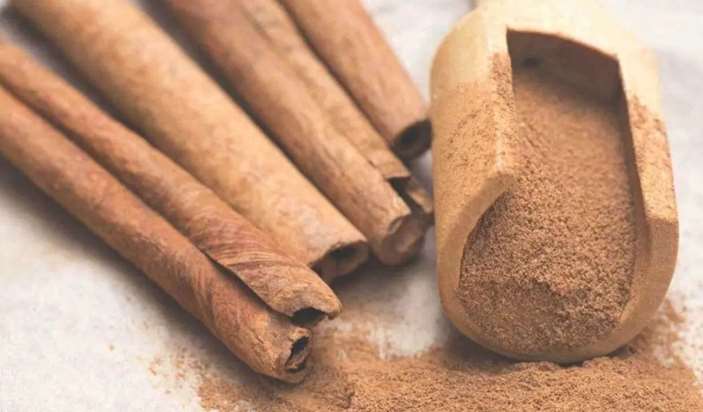 is the smell of cinnamon bad for dogs