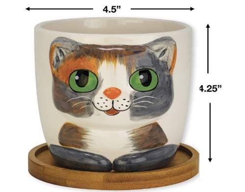 Window Garden - Cat Grass Growing Kit with Kitty Pot Planter