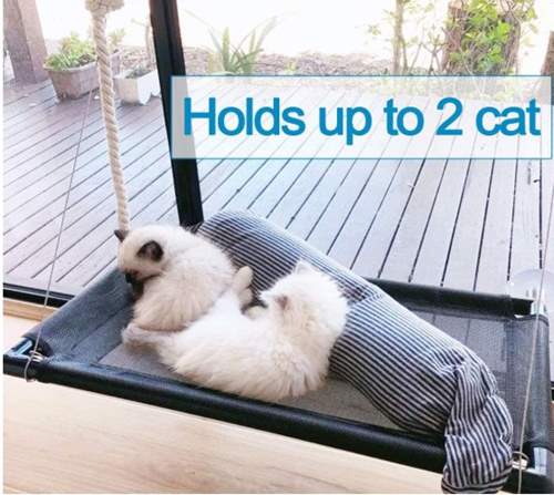 Camlinbo Cat Hammock Bed, Cat Window Perch for Large Big Cat Shelves