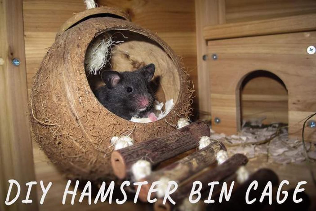 DIY Hamster Bin Cage Guide