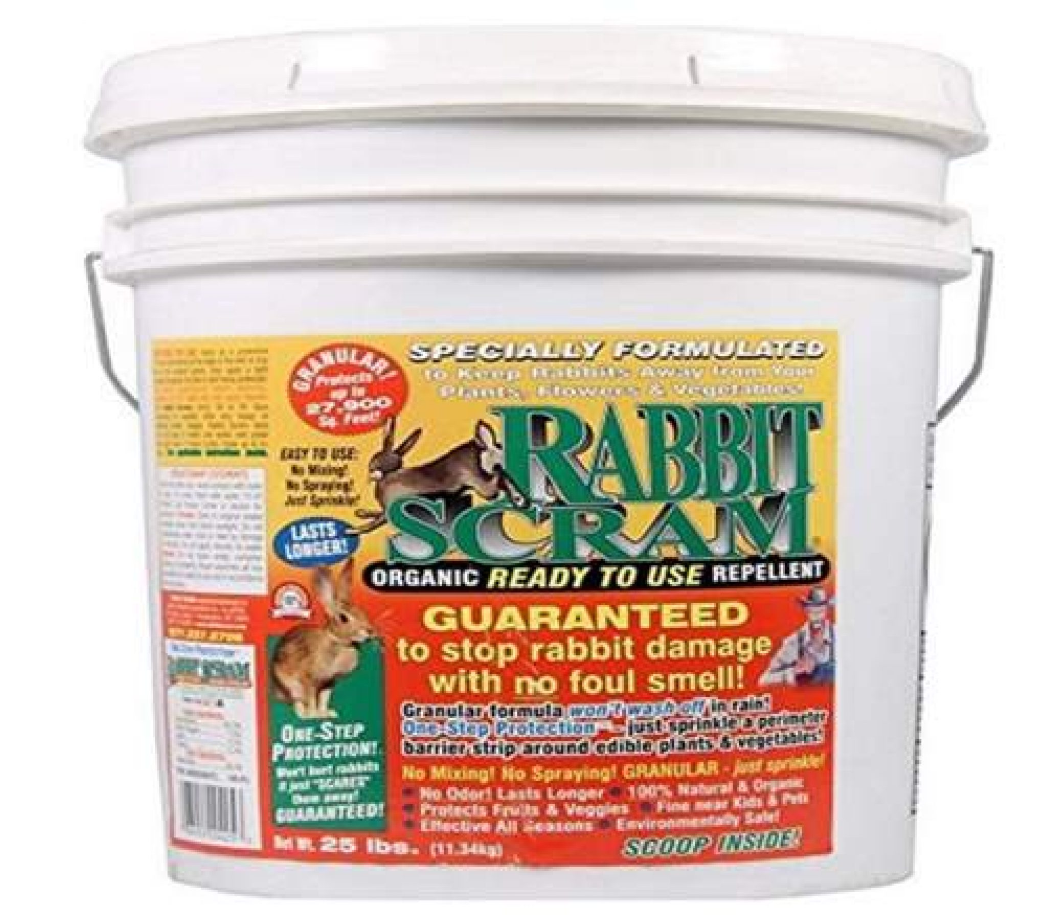 6 Best Rabbit Repellents & Deterrents with Reviews | Pet Care Advisors