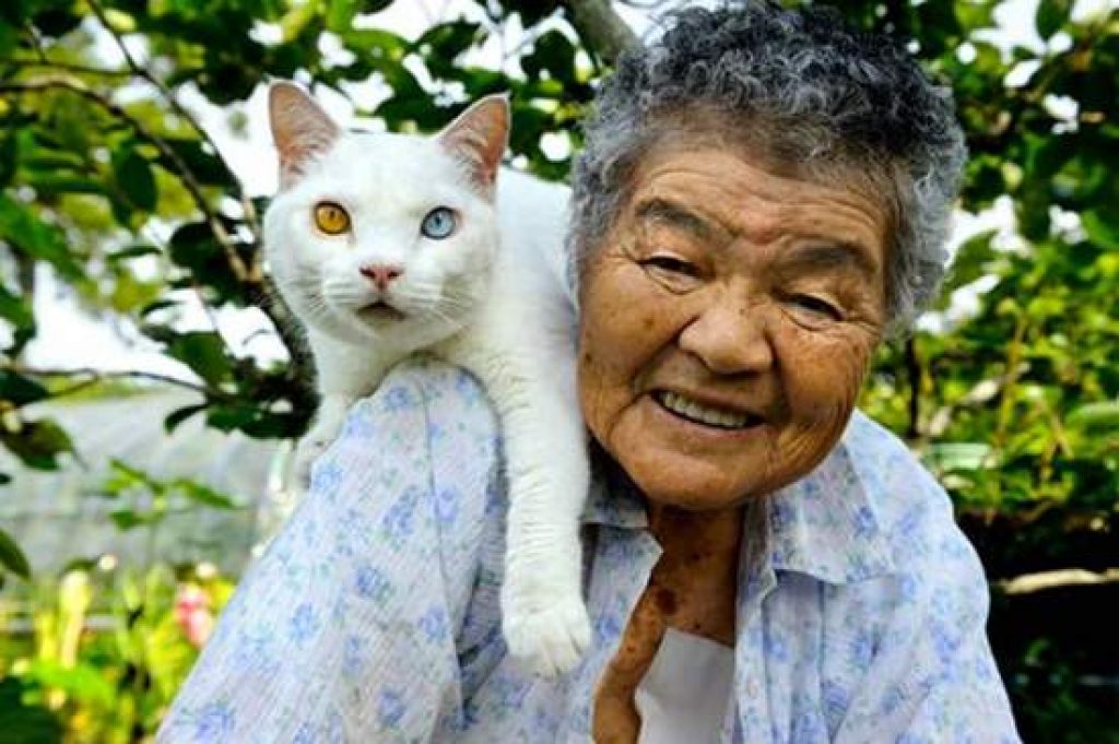 Japanese grandmother Misao with cat on shoulder