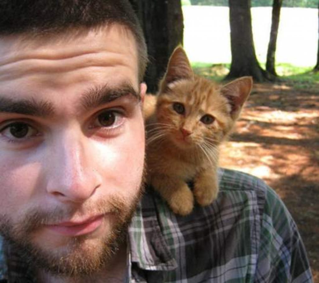Kitten on shoulder Courtersy of toychristopher - imgur