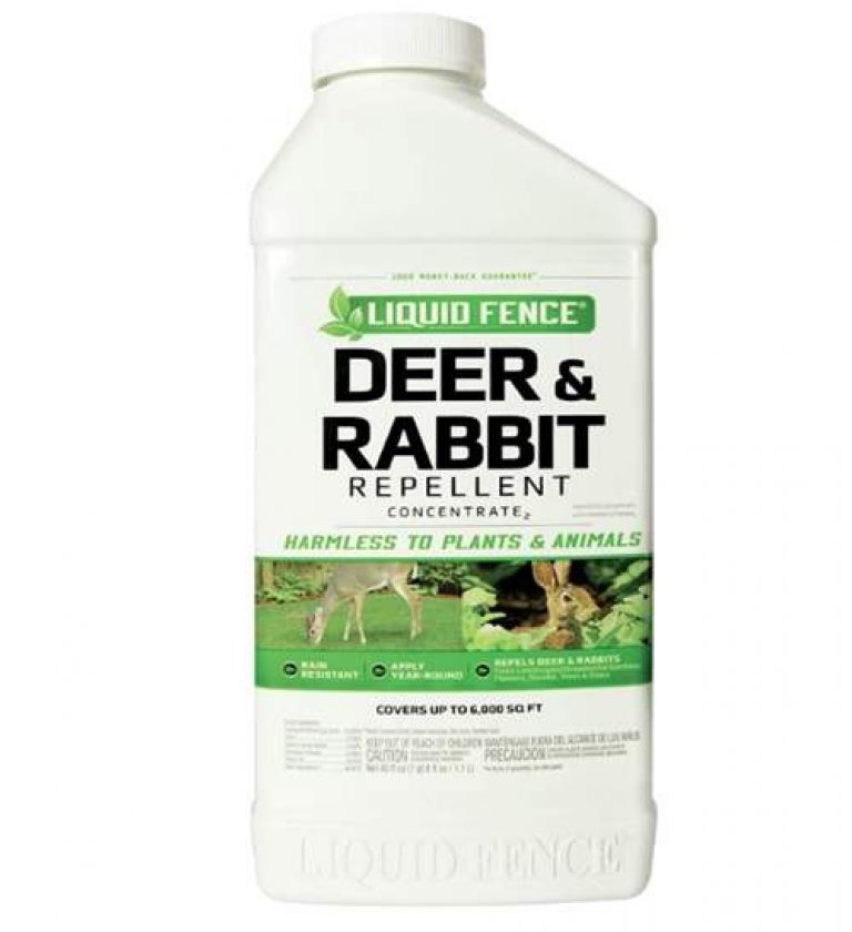 6 Best Rabbit Repellents Deterrents With Reviews Pet Care Advisors   Liquid Fence Deer Rabbit Repellent Concentrate 40 Ounce 768x840 