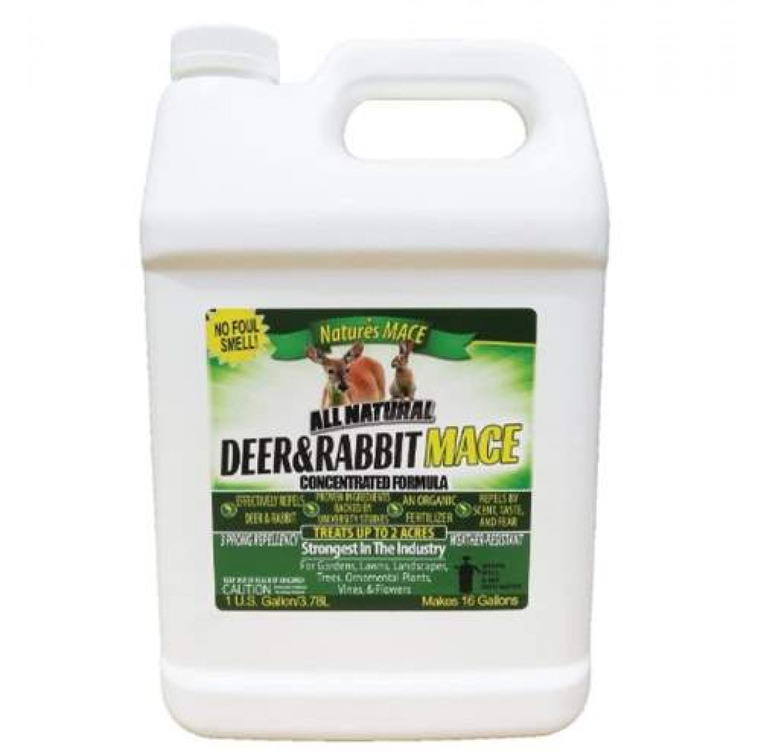 6 Best Rabbit Repellents & Deterrents with Reviews Pet Care Advisors