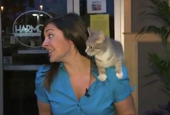 Nicole DiDonato with a cat on her shoulder