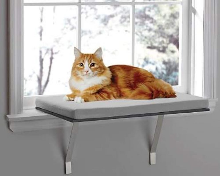 pawslife thompson mattress pet bed review