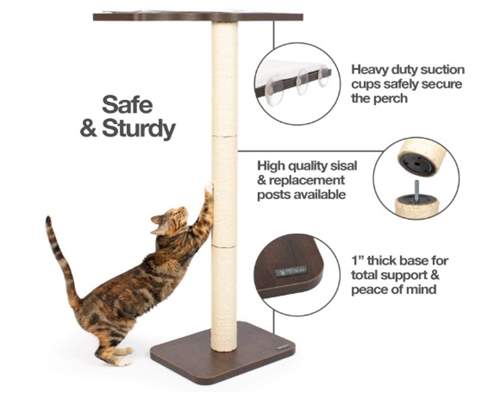 PetFusion Ultimate Cat Window Climbing Perch