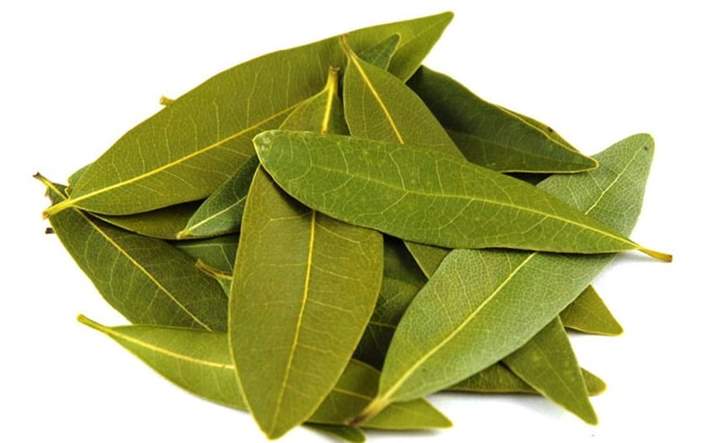 Can rabbits eat bay leaves