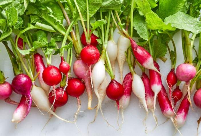 Can rabbits eat radishes