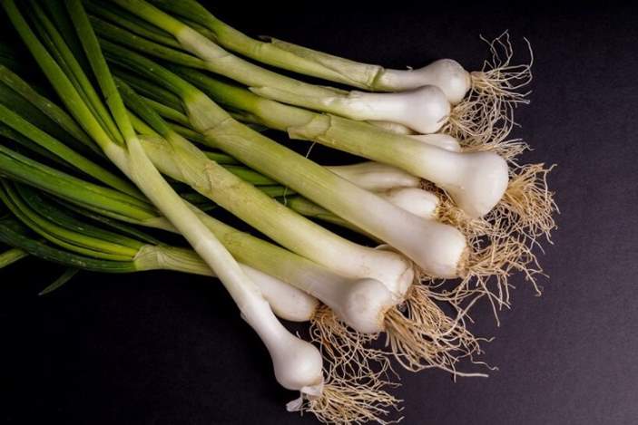 Can rabbits eat scallions