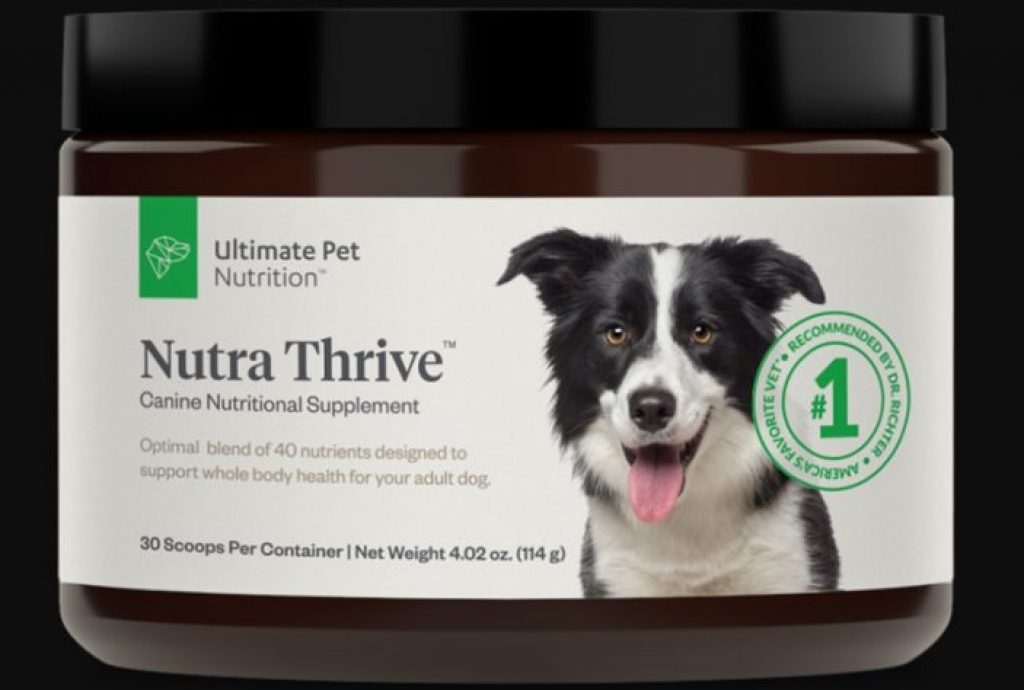 does-your-dog-need-supplements-pet-care-advisors