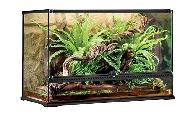 12 Best Bearded Dragon Tanks With Reviews 