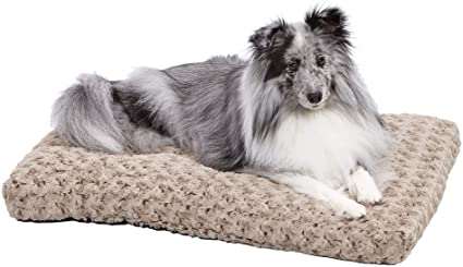 MidWest Homes for Pets Plush Dog Bed