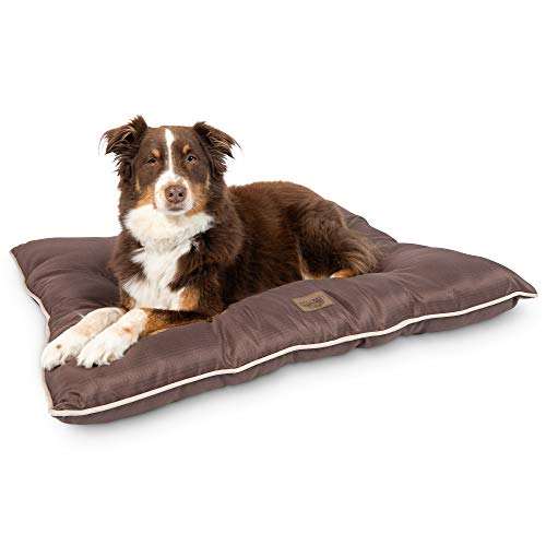 Pet Craft Supply Super Snoozer Dog Bed