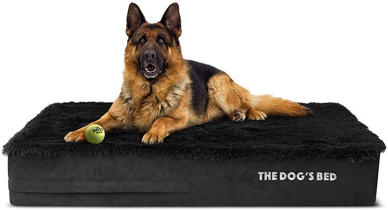 The Dog’s Balls The Dog’s Bed