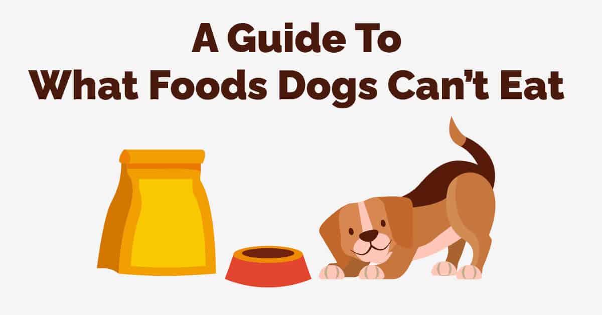 A Guide to What Foods Dogs Can’t Eat