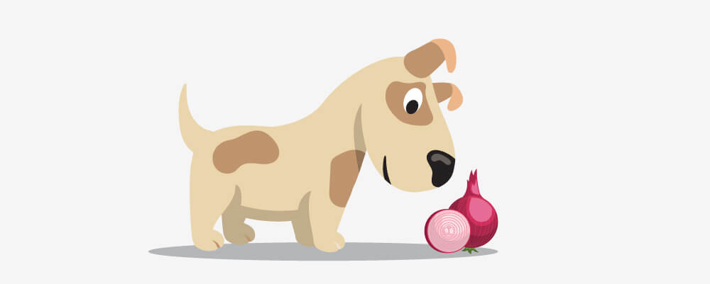 Dog eating a onion