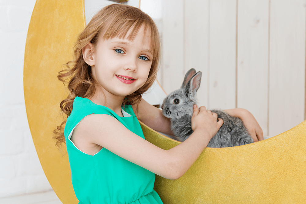 A rabbit and a girl