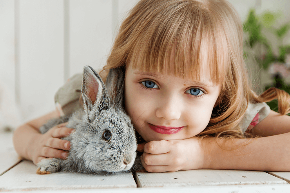 A rabbit and a girl