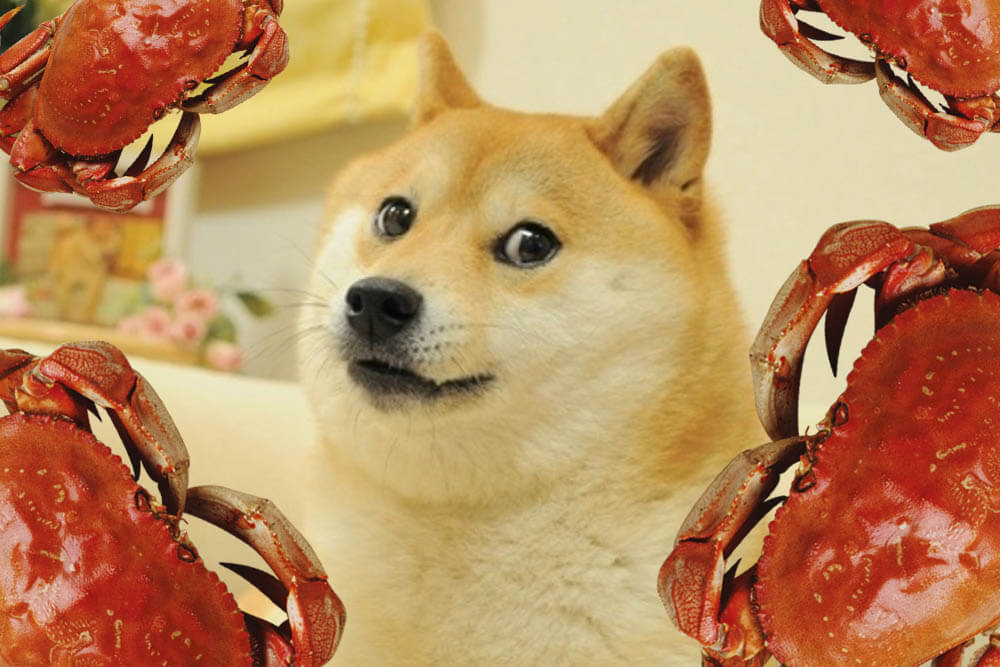 Can Dogs Eat Crabs?