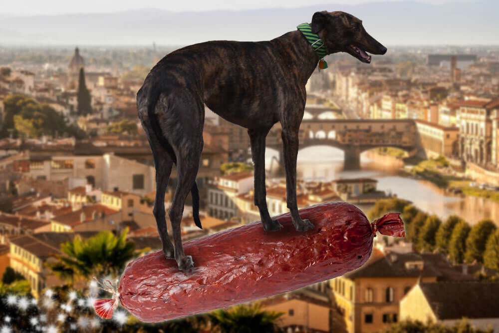 Can Dogs Eat Salami?