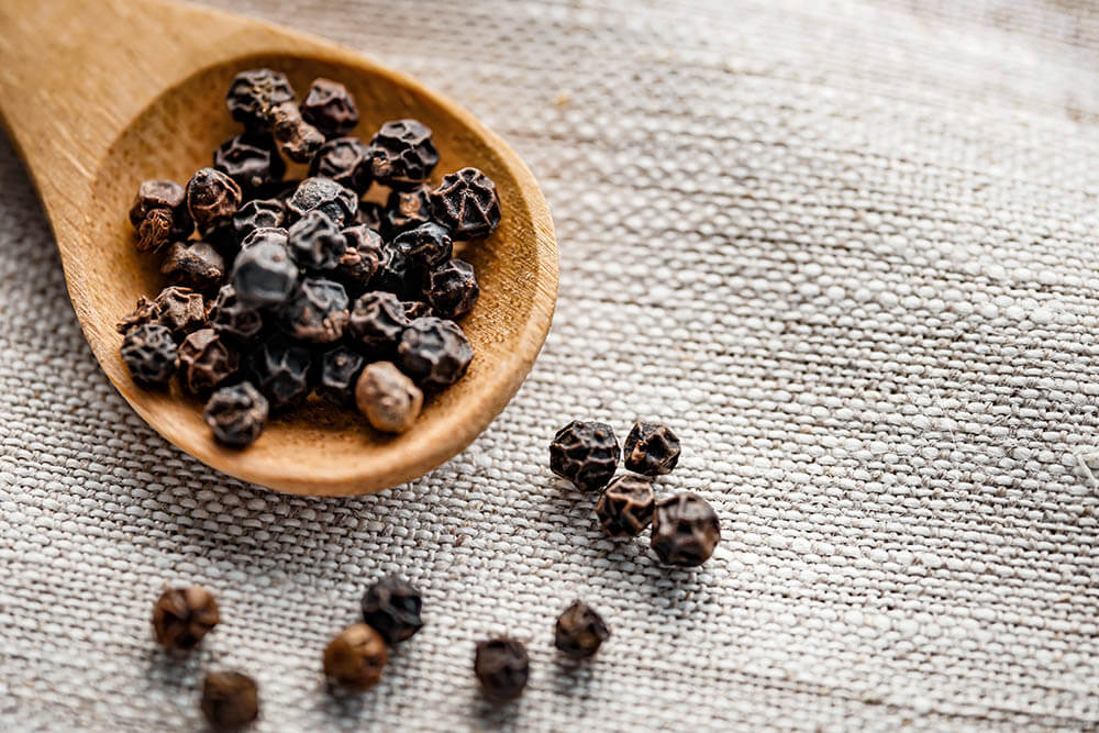 Can Dogs Eat Black Pepper? Pet Care Advisors