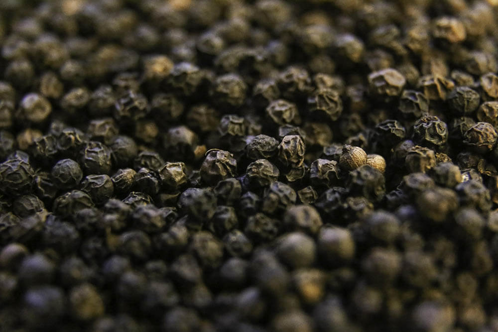 Can Dogs Eat Black Pepper?