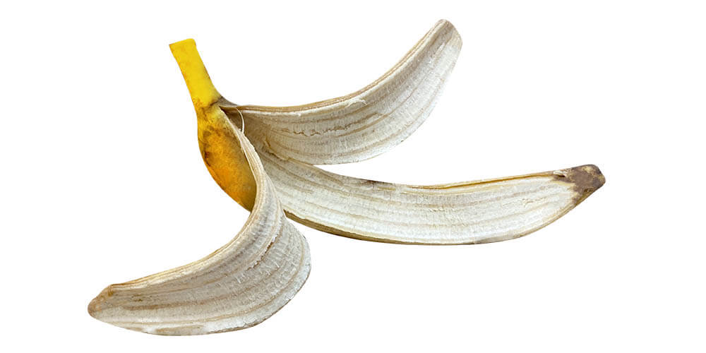 Can Dogs Eat Banana Peels