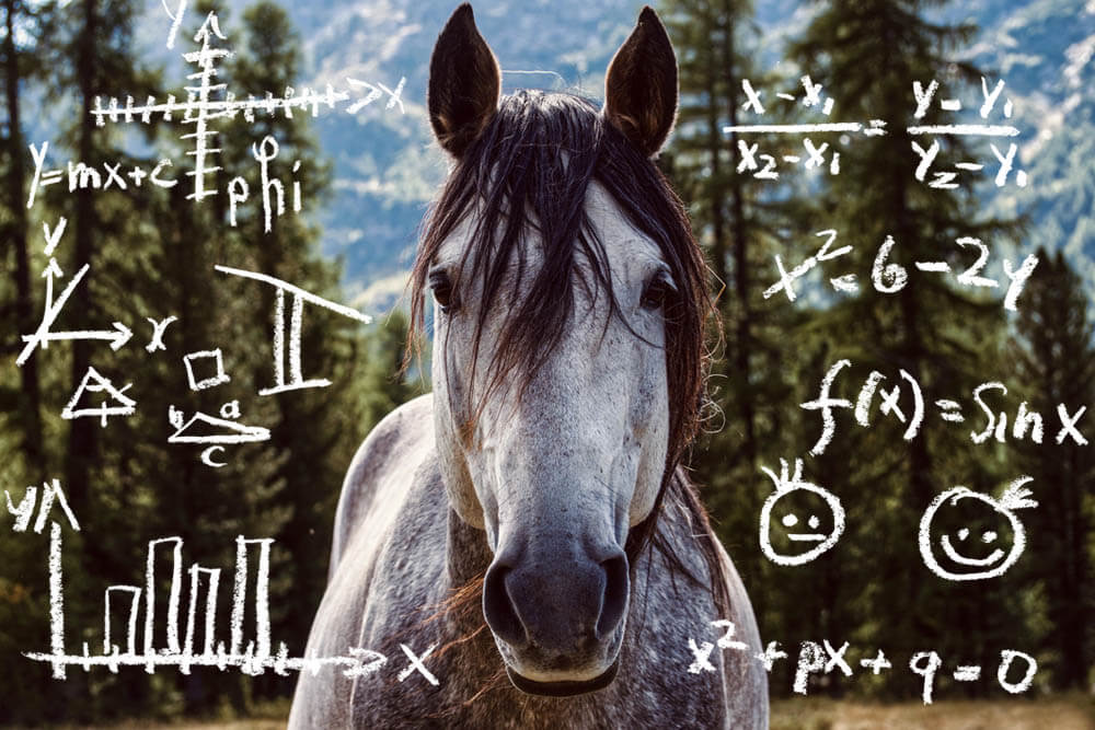 How Intelligent Are Horses?