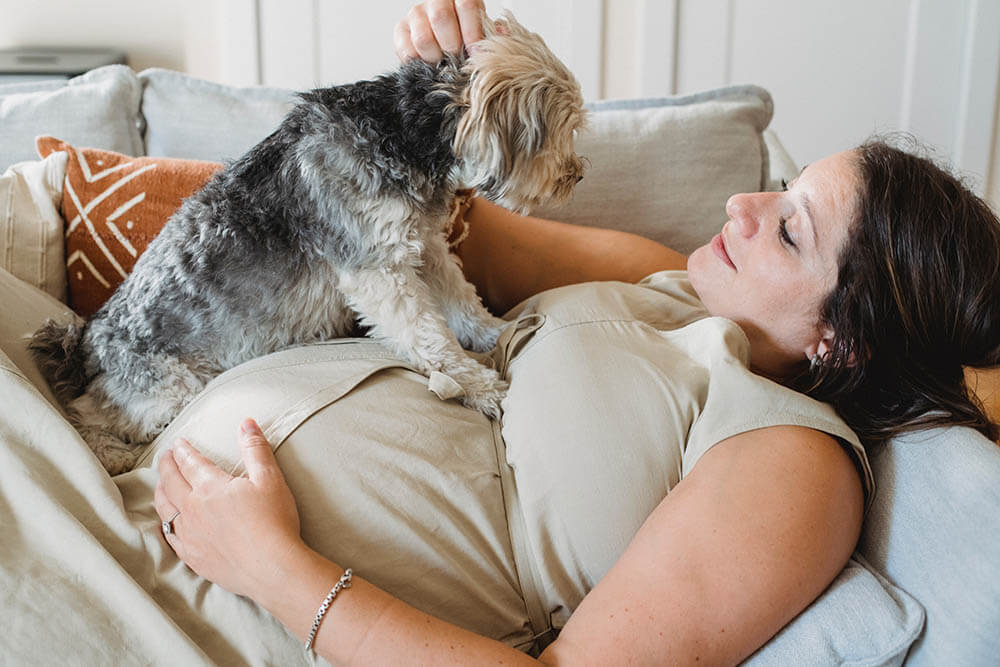 Can Dogs Sense Pregnancy?