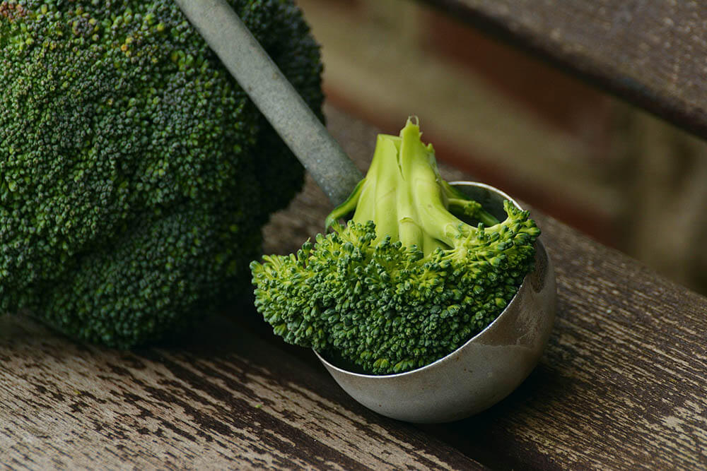 Can Parakeets Eat Broccoli?